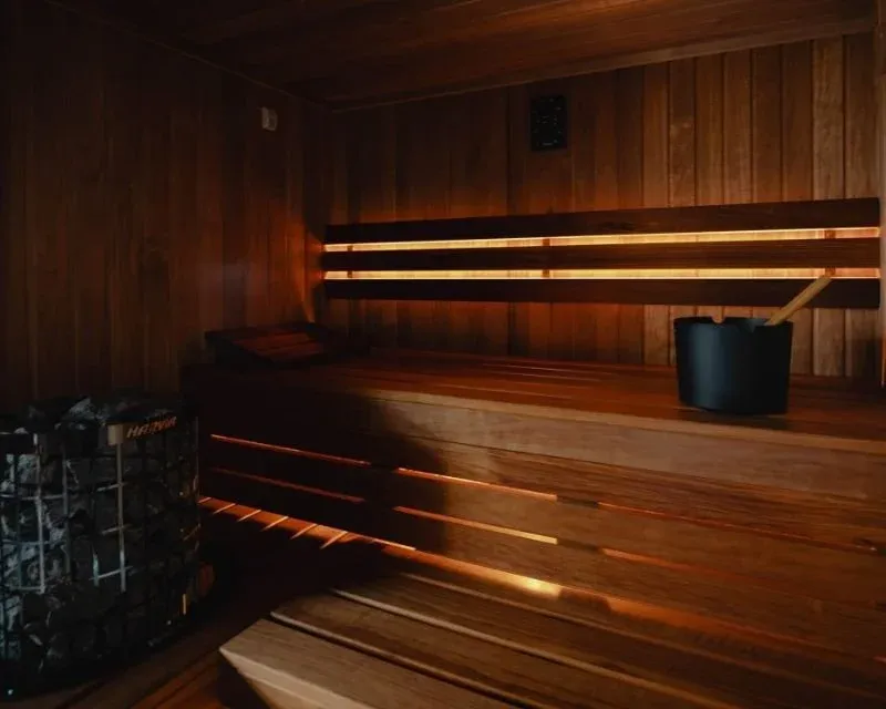 Sauna fińska z ciemnego drewna